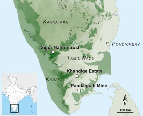 Carte de la zone d'étude, Pondichery, Inde