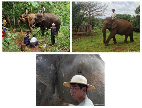 terrain Rafael Figueroa Brollo