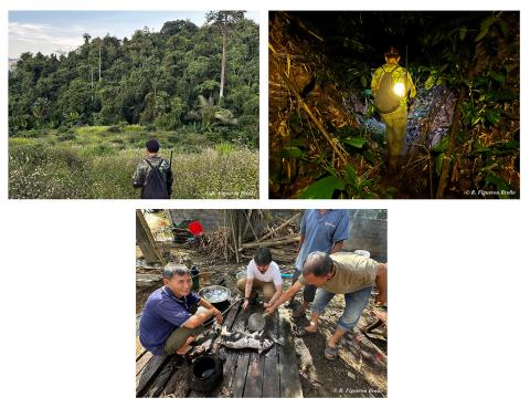 Terrain Rafael Figueroa Brollo