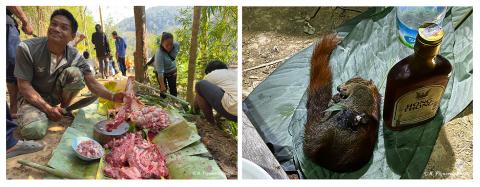 Terrain Rafael Figueroa Brollo