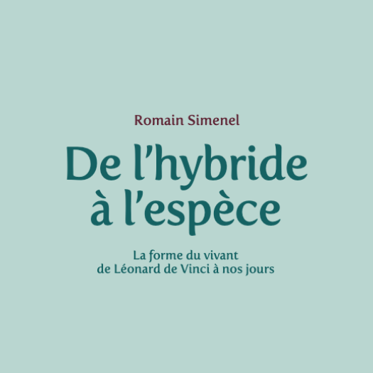 De l'hybride à l'espèce