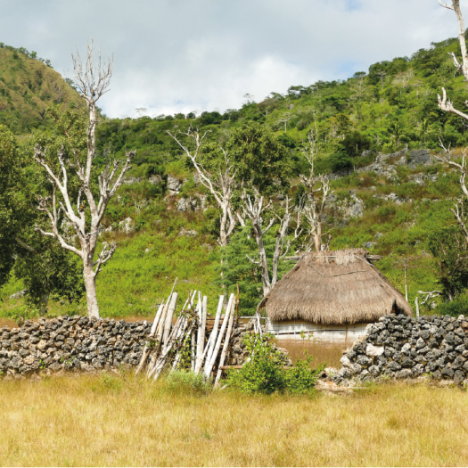 Atauro-Timor Leste