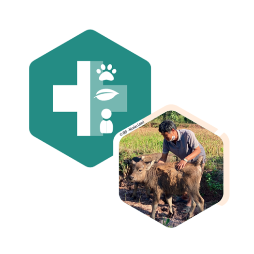 OneHealth-localKnowledge