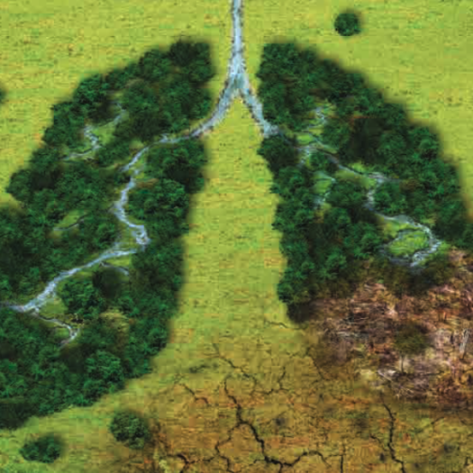 One Sustainable Health for All Declaration