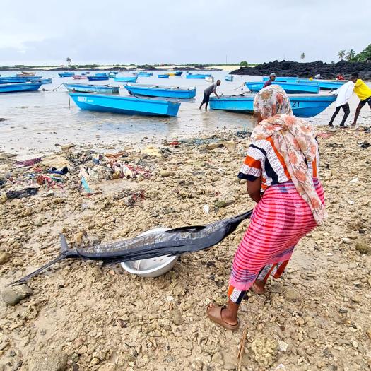 Retour de pêche