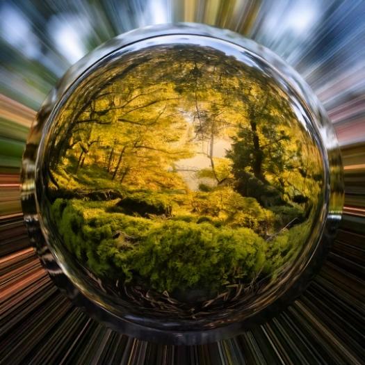 Les collections vivantes au prisme des sciences humaines et sociales