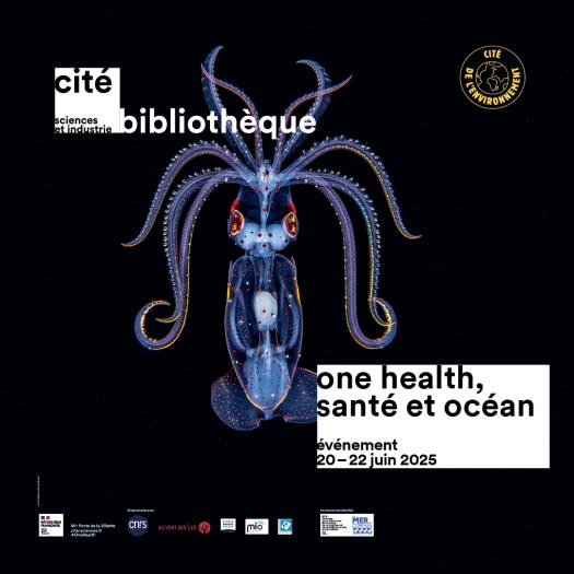One health, santé et océan