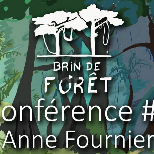 brin-de-foret.png