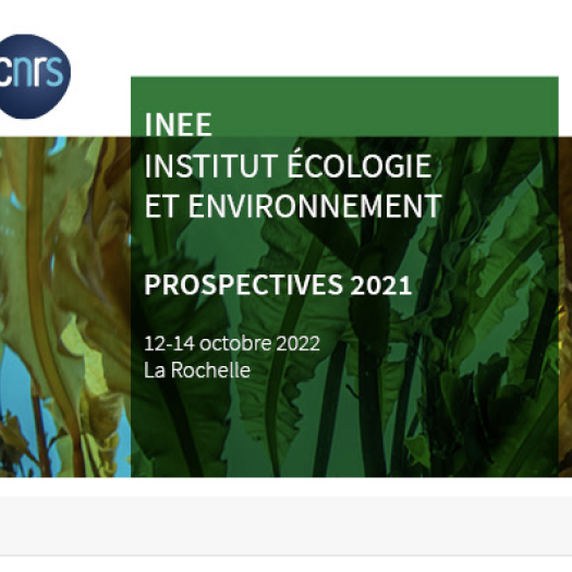 institut ecologie environnement.png