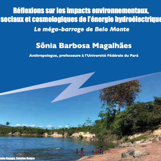 le_mega-barrage_de_belo_monte.png