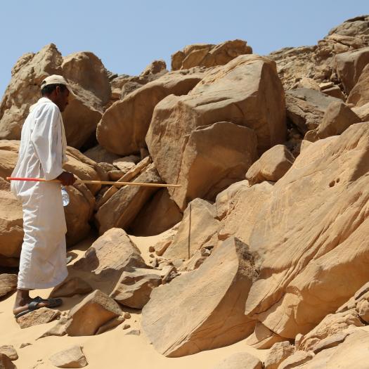 Wadi_abu_subeira-art rupestre.jpg