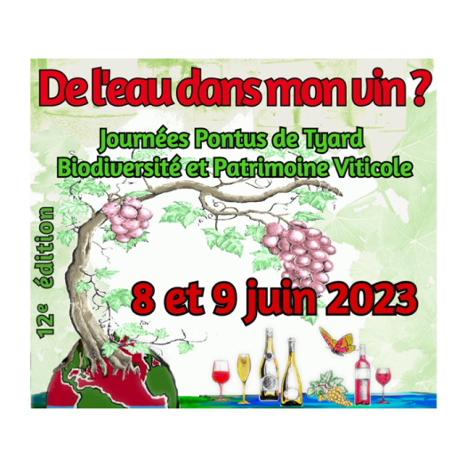 eau-dans-mon-vin.png