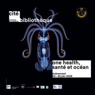 One health, santé et océan
