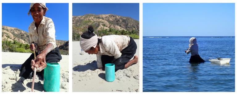 Peche au Timor