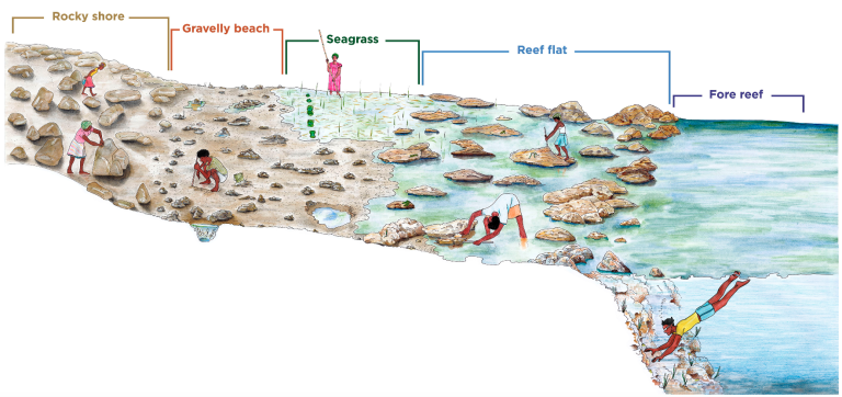 peche en papouasie Nelle Guinnée