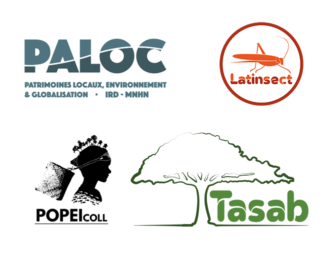 logos PALOC, LATINSECT, TASAB, POPEI-COLL
